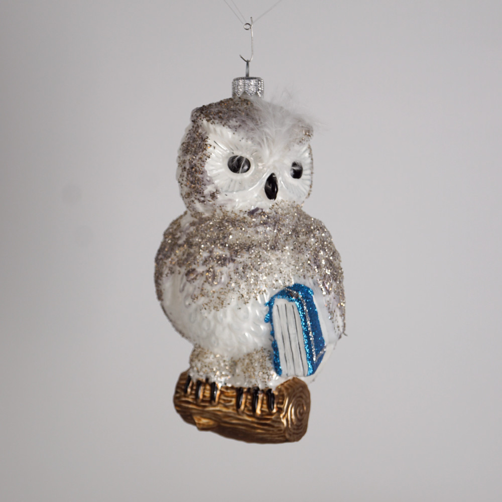 Forma "Biała sowa z niebieską książką"