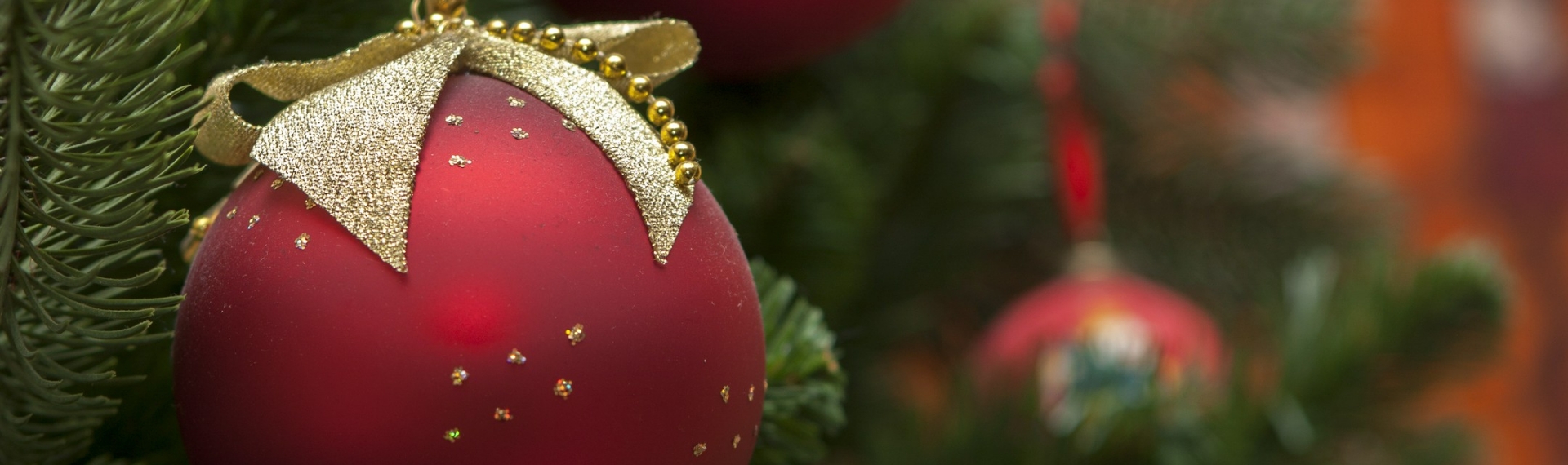 Czerwona bombka ze złotą, brokatową kokardą, wisząca na zielonej choince.